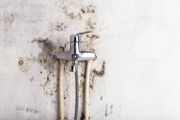 Certified Mold Removal in Bull Run Mountain Estates, VA