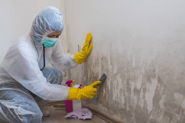 Best Mold Testing  in Bull Run Mountain Estates, VA
