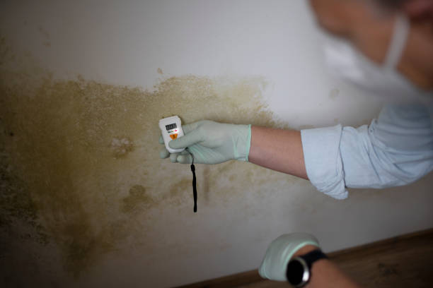 Bull Run Mountain Estates, VA Mold Removal Company