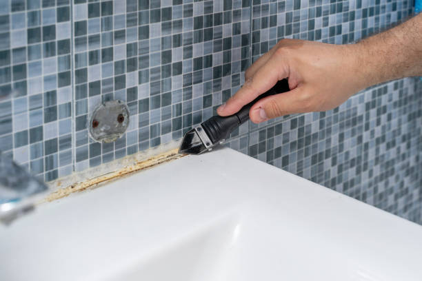 Best Affordable Mold Removal  in Bull Run Mountain Estates, VA