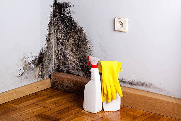 Best Emergency Mold Removal  in Bull Run Mountain Estates, VA
